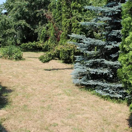 Villa Cengic *