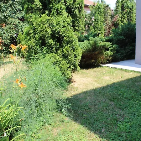 Cengic * Sarajevo