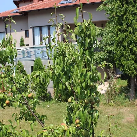 Cengic Sarajevo